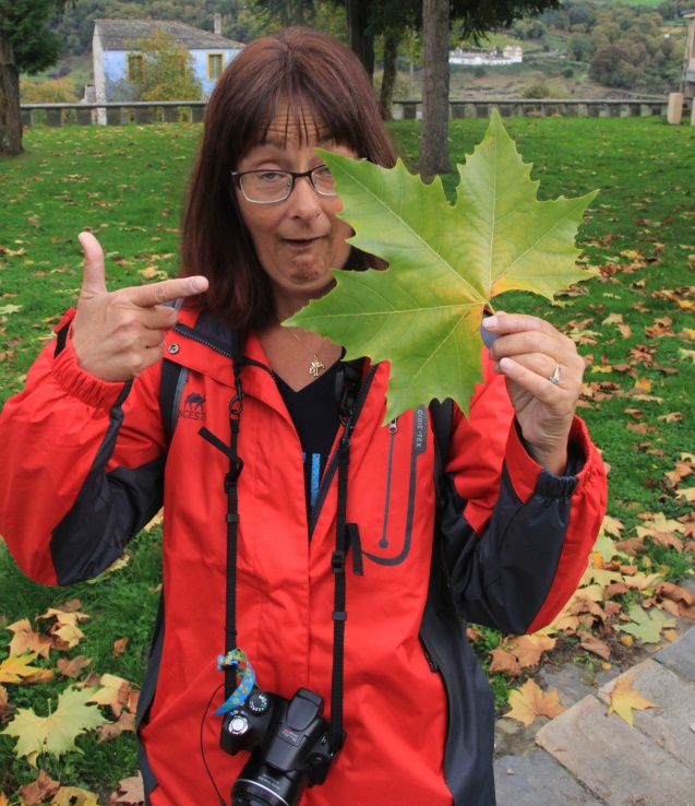 That's one humongous leaf!